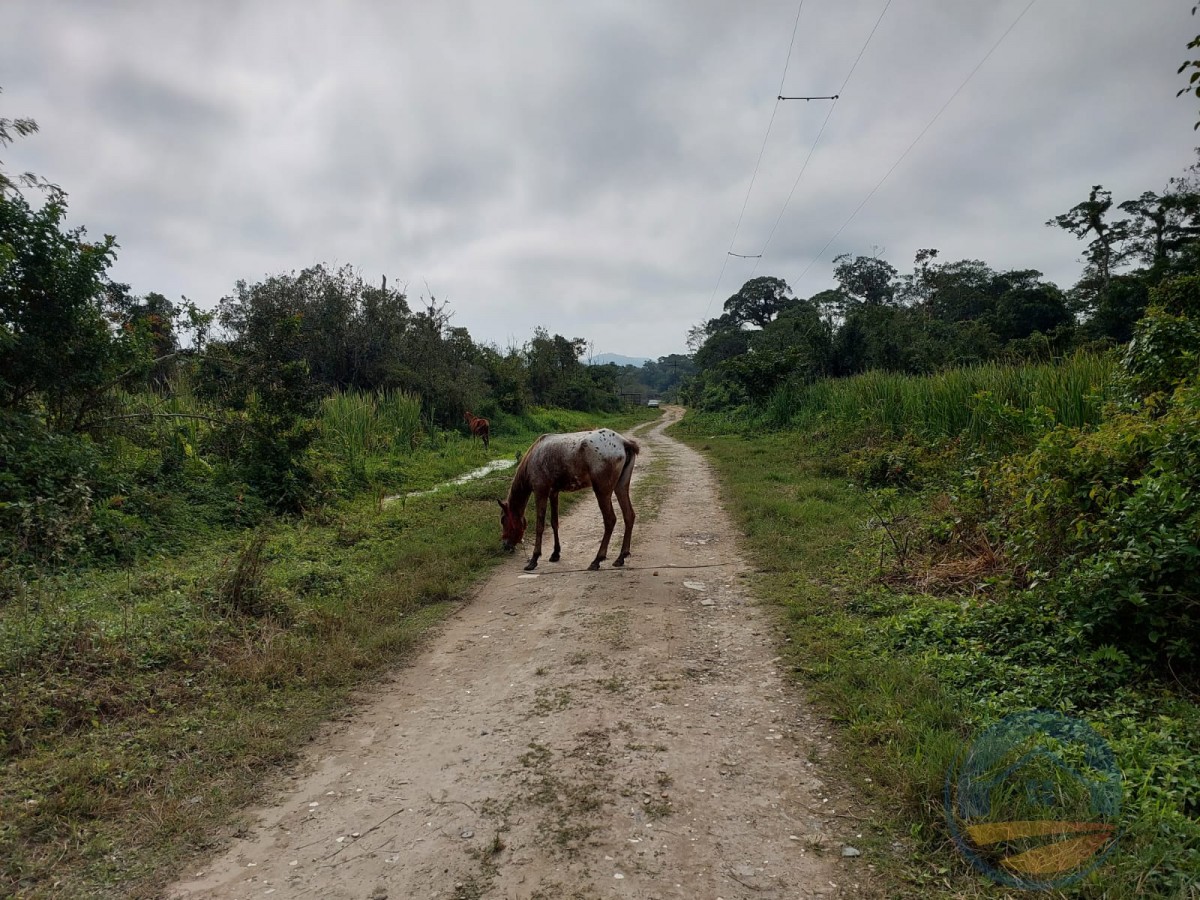Terreno no bairro Santa Ana, Pós Linha